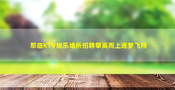 那曲KTV娱乐场所招聘攀高而上逐梦飞翔